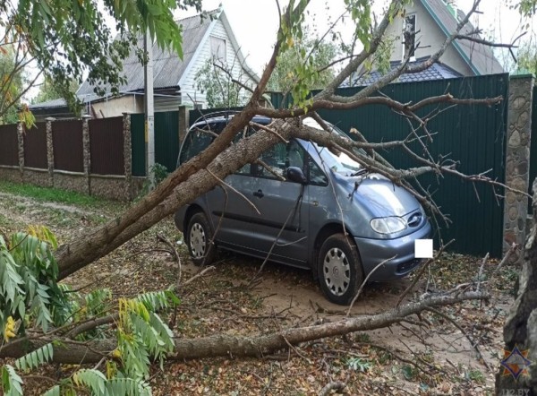 Смотрите, что натворила непогода на Брестчине Смотрите, что натворила непогода на Брестчине