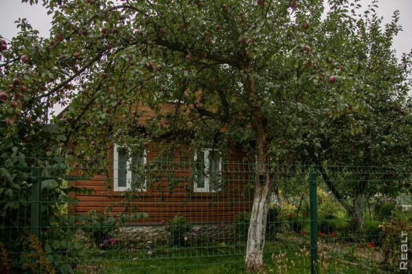 «Картинка почти никогда не передает реальность». Как молодая пара искала дом своей мечты «Картинка почти никогда не передает реальность». Как молодая пара искала дом своей мечты