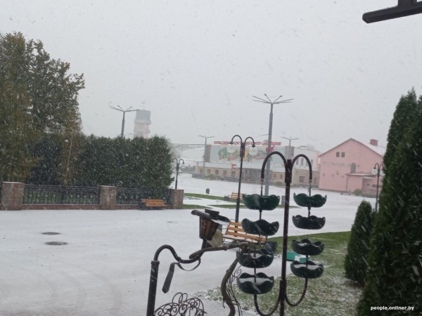 В Беларуси выпал снег В Беларуси выпал снег