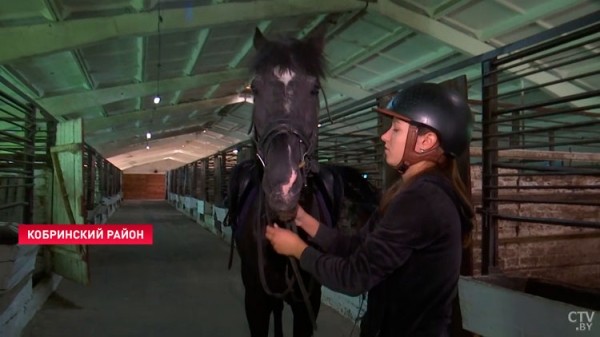 Верховая езда и основы конкура. Вот как проходит обучение конному спорту в Кобринском районе Верховая езда и основы конкура. Вот как проходит обучение конному спорту в Кобринском районе