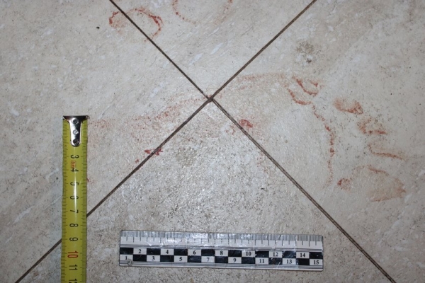 Подробности семейной трагедии в Жлобине, где бывший муж убил многодетную женщину