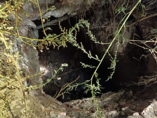 Мальчик с собакой упал в колодец в Гомельской области. Его спасли сотрудники МЧС