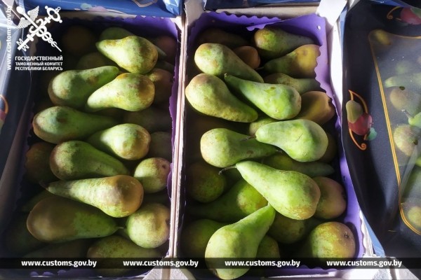 Из Беларуси пытались контрабандой вывезти груши на 1 млн рублей Из Беларуси пытались контрабандой вывезти груши на 1 млн рублей