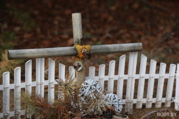 «Чипашка, спасибо за службу». Как выглядит стихийное кладбище домашних животных в Бобруйске «Чипашка, спасибо за службу». Как выглядит стихийное кладбище домашних животных в Бобруйске