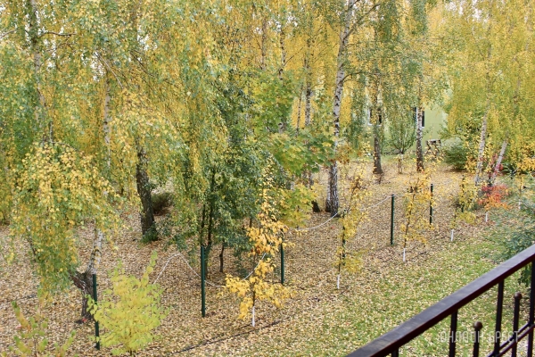 Запланируйте семейный отдых на антуражной вилле с бассейном и рестораном недалеко от Бреста. Аренда номеров, празднование торжеств в Villa Boutique Hotel Запланируйте семейный отдых на антуражной вилле с бассейном и рестораном недалеко от Бреста. Аренда номеров, празднование торжеств в Villa Boutique Hotel