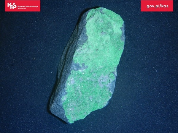 Белорус пытался контрабандой ввезти в Польшу древние окаменелости Белорус пытался контрабандой ввезти в Польшу древние окаменелости