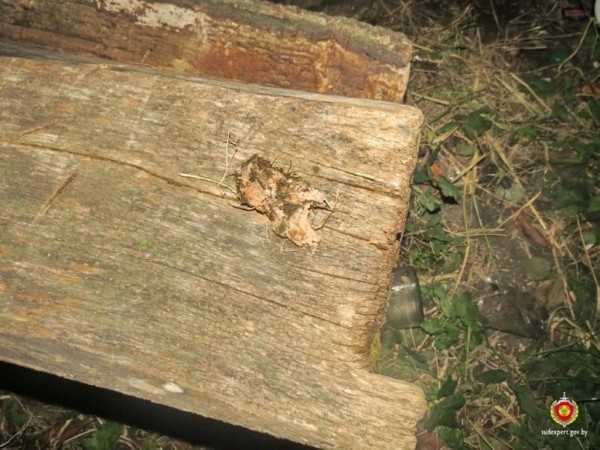 Белорус подавился во время приема пищи и умер