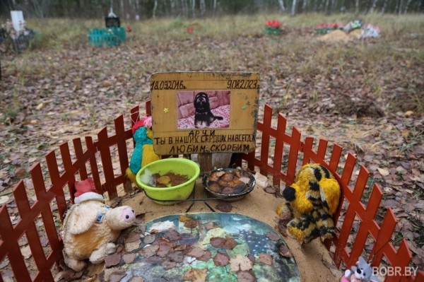 «Чипашка, спасибо за службу». Как выглядит стихийное кладбище домашних животных в Бобруйске «Чипашка, спасибо за службу». Как выглядит стихийное кладбище домашних животных в Бобруйске