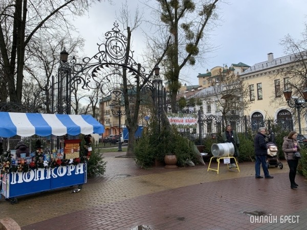 Где купить живую елку в Бресте? Места и время работы елочных базаров Где купить живую елку в Бресте? Места и время работы елочных базаров
