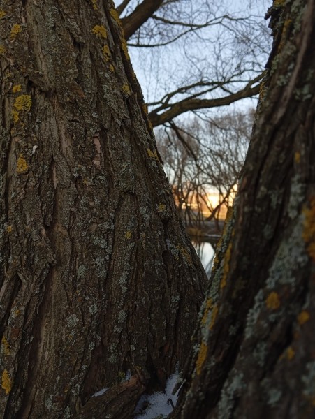 Обзор нового Redmi 13C. Народный хит или “проходим мимо”? Обзор нового Redmi 13C. Народный хит или “проходим мимо”?