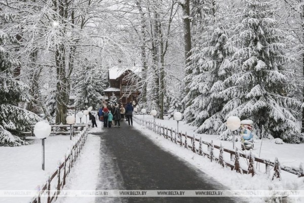 Тысячи туристов из Беларуси и зарубежья приехали в Беловежскую пущу на 20-летие поместья Деда Мороза Тысячи туристов из Беларуси и зарубежья приехали в Беловежскую пущу на 20-летие поместья Деда Мороза