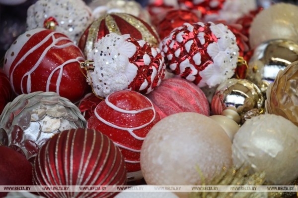 В Бресте заработали елочные базары В Бресте заработали елочные базары