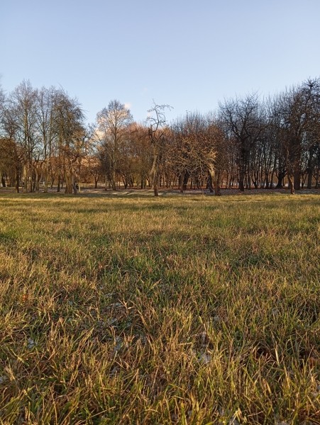 Обзор нового Redmi 13C. Народный хит или “проходим мимо”? Обзор нового Redmi 13C. Народный хит или “проходим мимо”?