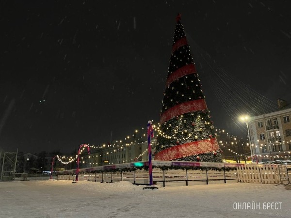 Все ёлки Бреста зажгут одновременно 16 декабря