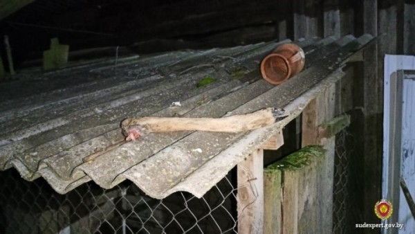 Белорус нашел на дороге мертвую косулю, забрал домой и разделал. Что ему за это грозит? Белорус нашел на дороге мертвую косулю, забрал домой и разделал. Что ему за это грозит?