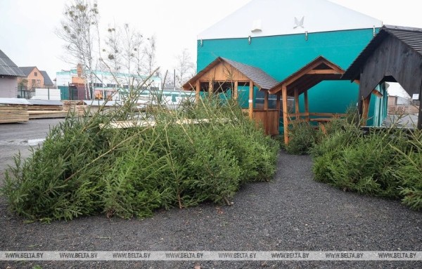 В Бресте заработали елочные базары В Бресте заработали елочные базары