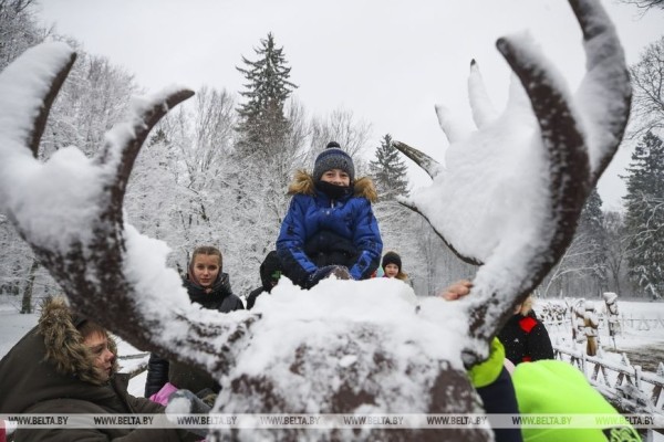 Тысячи туристов из Беларуси и зарубежья приехали в Беловежскую пущу на 20-летие поместья Деда Мороза Тысячи туристов из Беларуси и зарубежья приехали в Беловежскую пущу на 20-летие поместья Деда Мороза