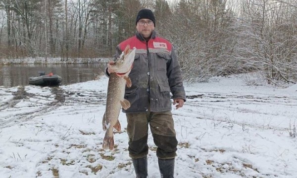 Щуку весом 7 кг. выловил рыбак из г. Микашевичи