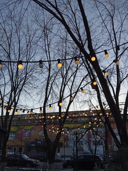 Обзор нового Redmi 13C. Народный хит или “проходим мимо”? Обзор нового Redmi 13C. Народный хит или “проходим мимо”?