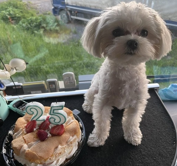 «Первое время работа вместе была адом!» Супруги пятый год живут в тесной кабине фуры и завели ещё собаку