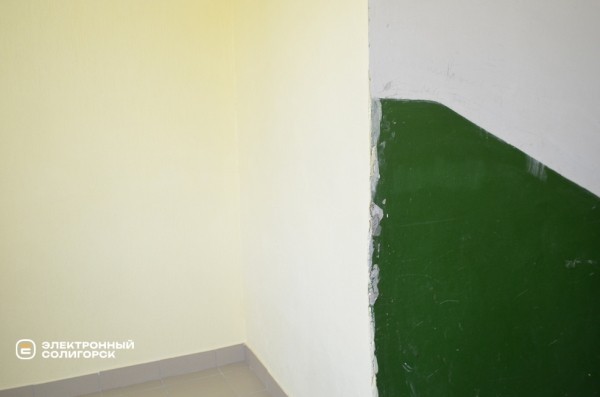 «Не хотели жить в свинарнике». Как солигорчане превратили убитый подъезд в элитный «Не хотели жить в свинарнике». Как солигорчане превратили убитый подъезд в элитный