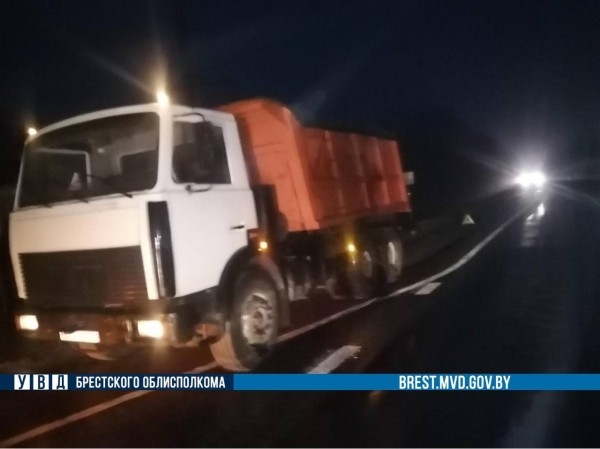 В Дрогичинском районе столкнулись легковушка и МАЗ В Дрогичинском районе столкнулись легковушка и МАЗ