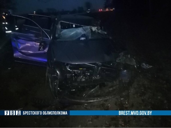 В Дрогичинском районе столкнулись легковушка и МАЗ В Дрогичинском районе столкнулись легковушка и МАЗ