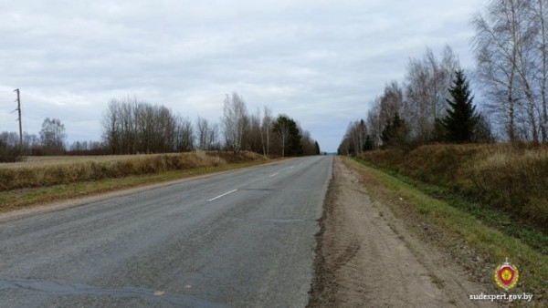 Белорус нашел на дороге мертвую косулю, забрал домой и разделал. Что ему за это грозит? Белорус нашел на дороге мертвую косулю, забрал домой и разделал. Что ему за это грозит?