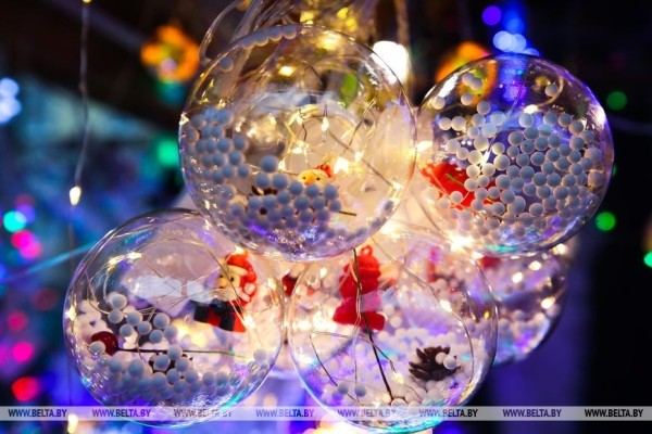 В Бресте заработали елочные базары В Бресте заработали елочные базары