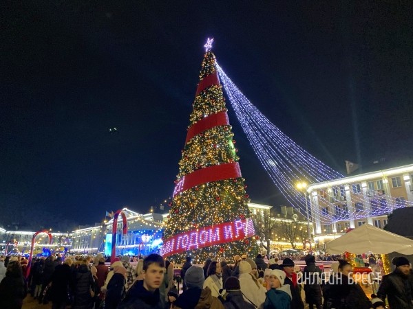 В Бресте зажгли главную елку города В Бресте зажгли главную елку города