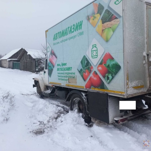 В Бресте в результате падения деревьев повреждено пять машин В Бресте в результате падения деревьев повреждено пять машин