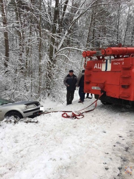 В Бресте в результате падения деревьев повреждено пять машин В Бресте в результате падения деревьев повреждено пять машин