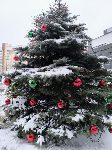 Модный, стильный, мощный. Обзор смартфона Xiaomi Redmi Note 13 Pro+ Модный, стильный, мощный. Обзор смартфона Xiaomi Redmi Note 13 Pro+