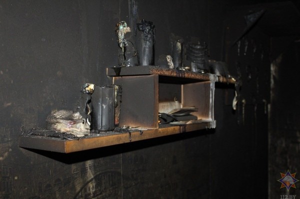 В Бресте на пожаре работники МЧС спасли мужчину, еще двое погибли, а один самостоятельно покинул огненную ловушку. Подробности В Бресте на пожаре работники МЧС спасли мужчину, еще двое погибли, а один самостоятельно покинул огненную ловушку. Подробности