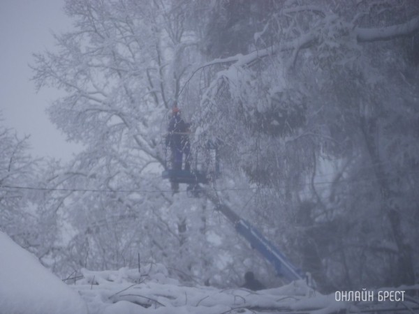 Снегопады в Брестской области сменились ледяным дождем. Энергетики продолжают устранять последствия Снегопады в Брестской области сменились ледяным дождем. Энергетики продолжают устранять последствия
