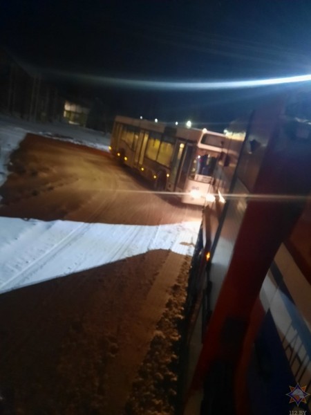 В Бресте в результате падения деревьев повреждено пять машин В Бресте в результате падения деревьев повреждено пять машин