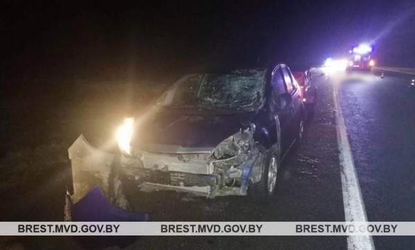 В Кобринском районе погибла женщина В Кобринском районе погибла женщина