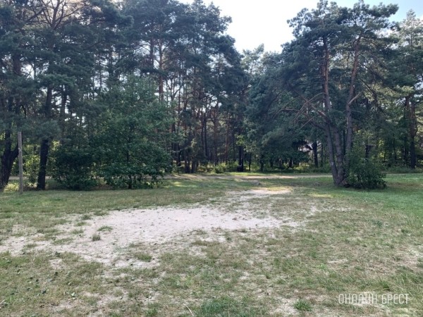 Обновленный Лесной кодекс вступил в силу. Что изменилось? Обновленный Лесной кодекс вступил в силу. Что изменилось?