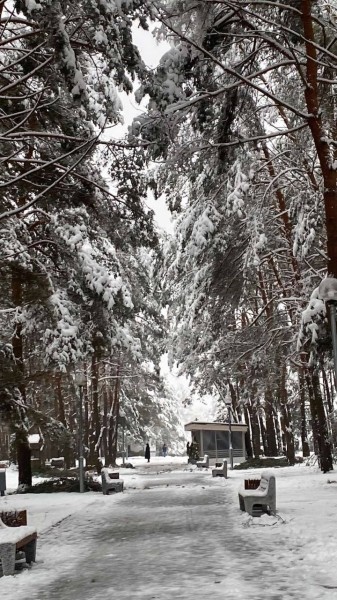 Жителей Бреста просят временно не ходить в парки. И вот почему Жителей Бреста просят временно не ходить в парки. И вот почему