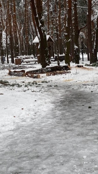 Жителей Бреста просят временно не ходить в парки. И вот почему Жителей Бреста просят временно не ходить в парки. И вот почему