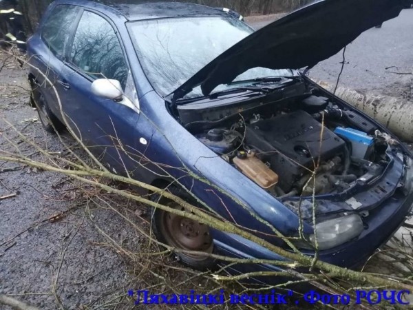 Дерево упало на проезжающий автомобиль под Ляховичами Дерево упало на проезжающий автомобиль под Ляховичами