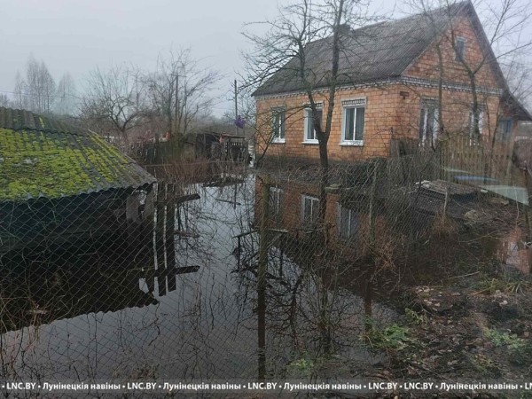 Подтопления подворий фиксируются в Лунинецком районе. Фотофакт Подтопления подворий фиксируются в Лунинецком районе. Фотофакт