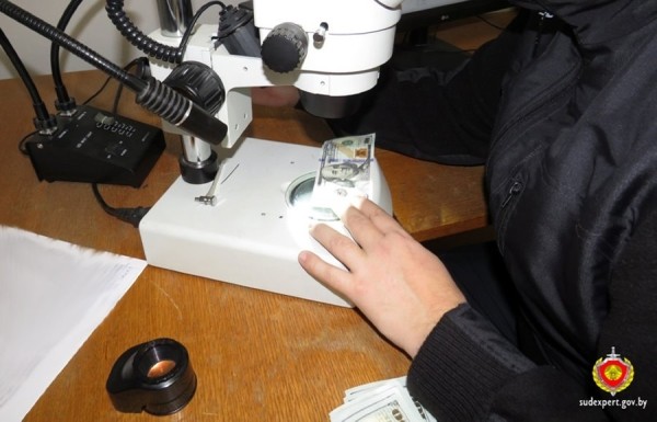 Россиянин приехал в Беларусь за автомобилем с пачками поддельных долларов