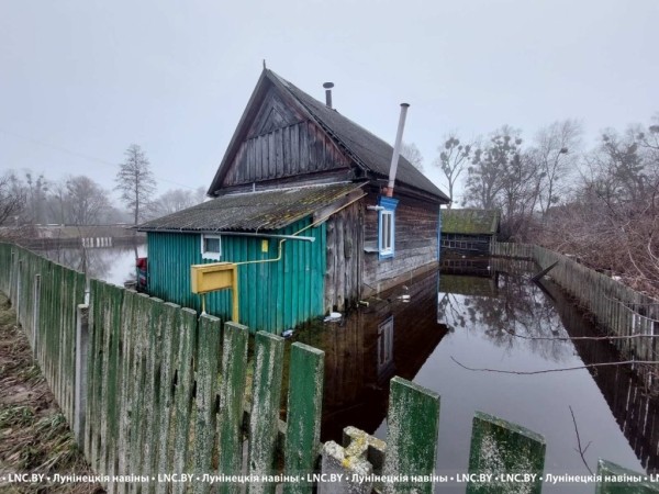 Подтопления подворий фиксируются в Лунинецком районе. Фотофакт Подтопления подворий фиксируются в Лунинецком районе. Фотофакт