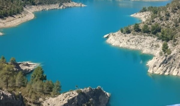 &laquo;Фермеры уничтожают груз и машины&raquo;. Дальнобойщица из Беларуси о последних событиях в Европе