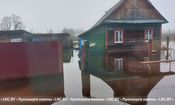 Подтопления подворий фиксируются в Лунинецком районе. Фотофакт Подтопления подворий фиксируются в Лунинецком районе. Фотофакт
