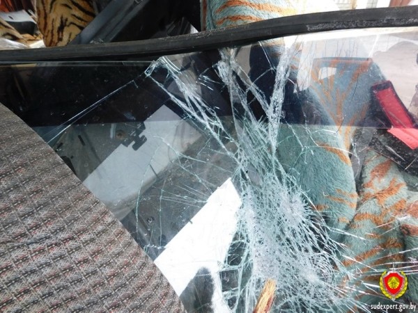 Рассеянный хулиган повредил автомобиль в Бресте. Ущерб оценили эксперты Рассеянный хулиган повредил автомобиль в Бресте. Ущерб оценили эксперты