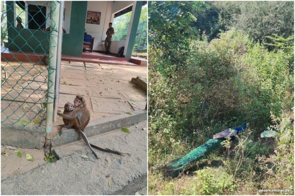 Двое суток провели в самолете — оно того стоило? Слетали на тропический остров посреди зимы и делимся впечатлениями Двое суток провели в самолете — оно того стоило? Слетали на тропический остров посреди зимы и делимся впечатлениями