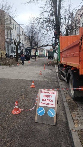 В Бресте ведутся плановые работы по обрезке и удалению опасных деревьев В Бресте ведутся плановые работы по обрезке и удалению опасных деревьев