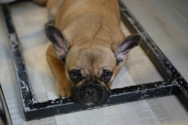 «Муж в колонии, я — на „химии“». Многодетная белоруска о последствиях льготной растаможки «Муж в колонии, я — на „химии“». Многодетная белоруска о последствиях льготной растаможки